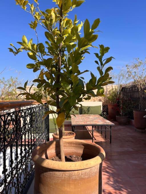 Riad Dar Fannan En Exclusivite Marrakesch Exterior foto